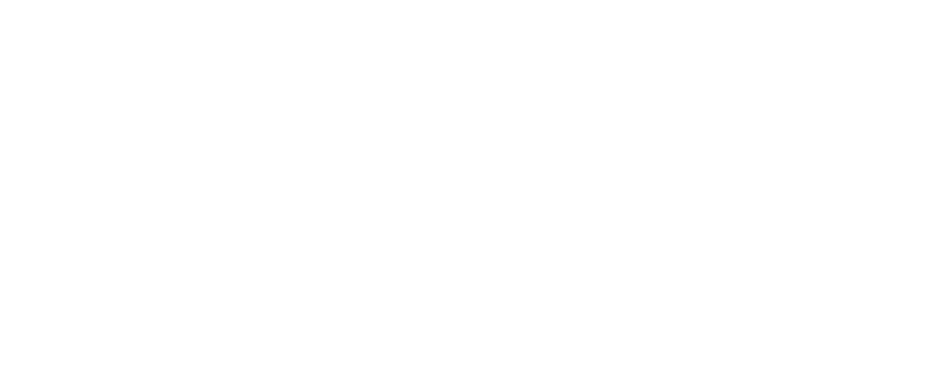 MLS Logo